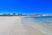 Sharm El Naga Ausflug inkl Schnorcheln