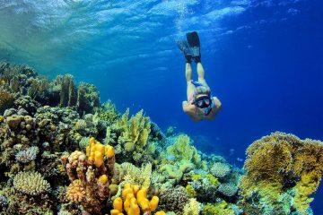 schnorcheln an krallenriffe in hurghada