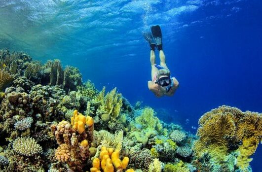 schnorcheln an krallenriffe in hurghada